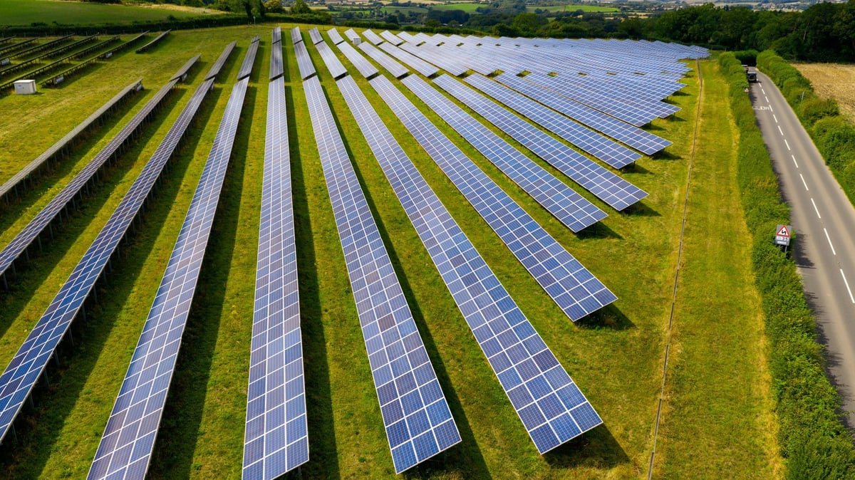 Solar farm with panels